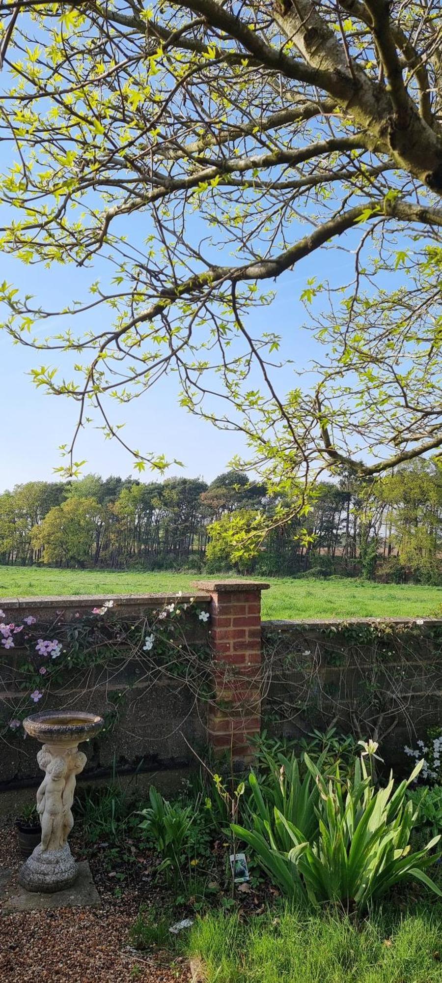 Briston Begonia Cottage מראה חיצוני תמונה